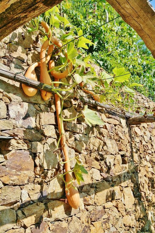 Séjour à la ferme Costamagna Noli
