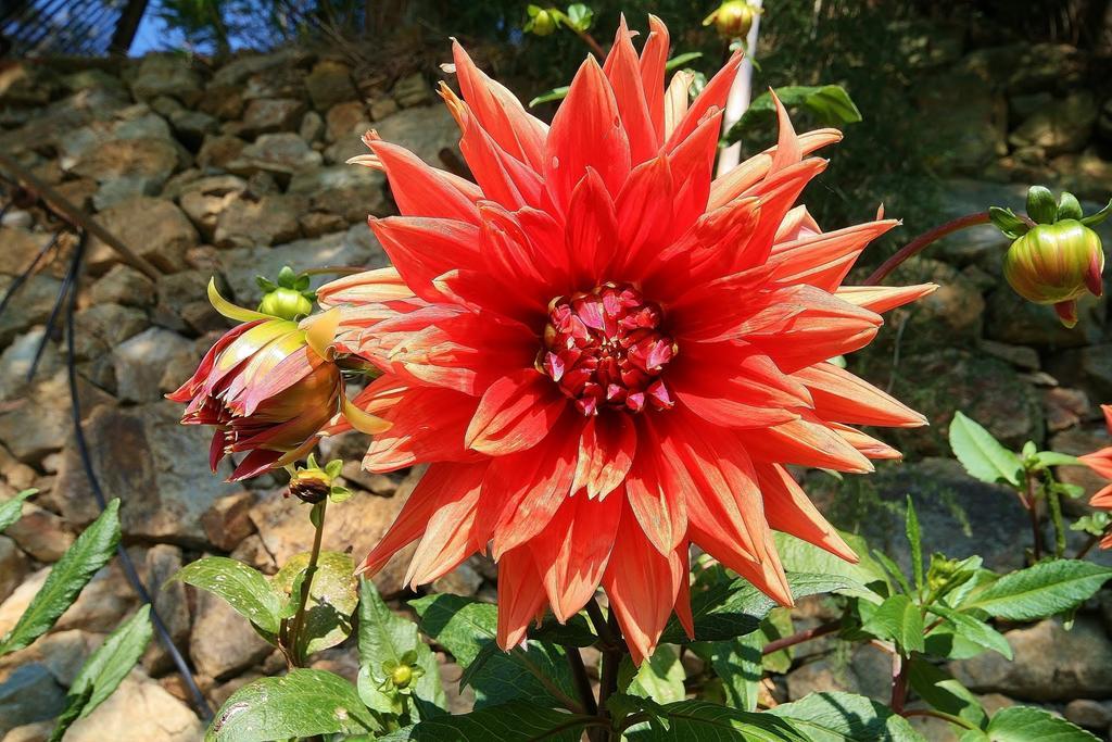 Costamagna Farm stay