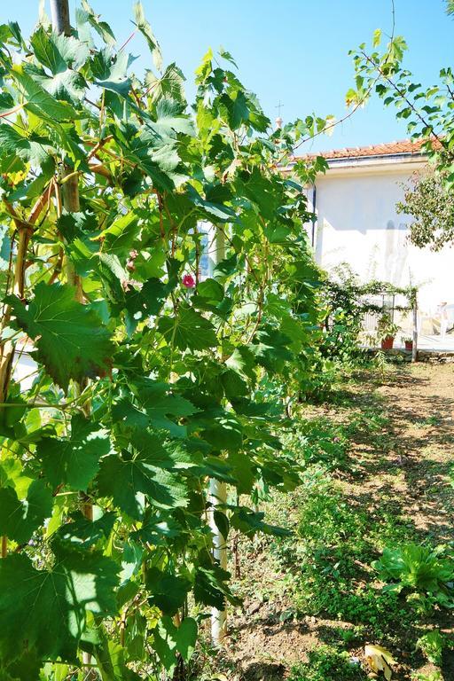 Farm stay Costamagna *